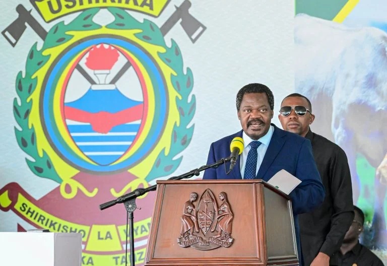 Tanzania Vice President Emmanuel Nchimbi Resigns